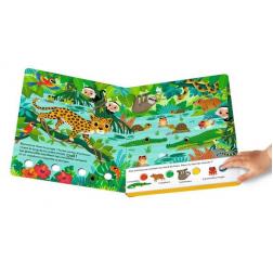 Cherche et Brille - Dans la Jungle 