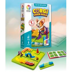 Corgi - Chien agile