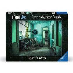 Puzzle 1000 p - L'hôpital psychiatrique