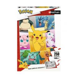 Puzzle Pokémon Types de Pokémon 250 pièces